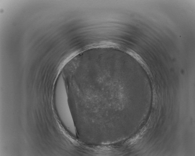 X0000066510850200603311727