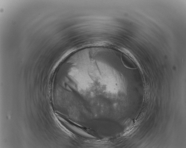 X0000066510851200603311727