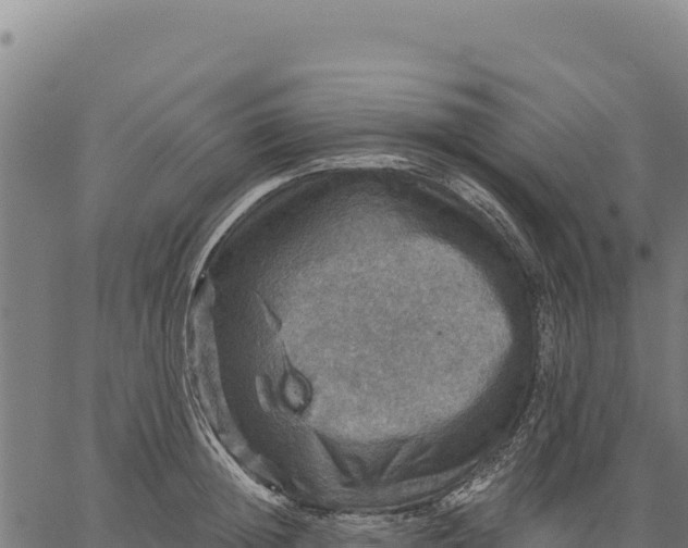 X0000066510852200603311728