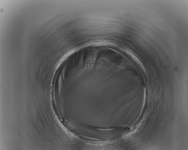 X0000066510853200603311728