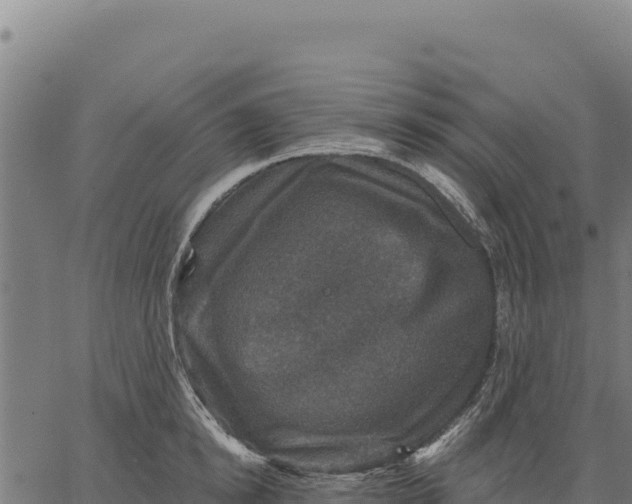 X0000066510854200603311728