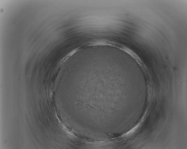 X0000066510857200603311728