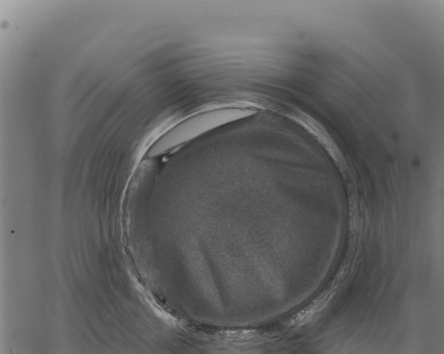 X0000066510858200603311728