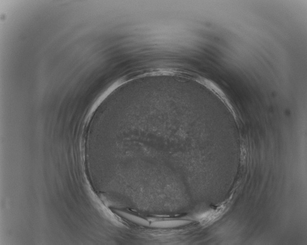 X0000066510859200603311728