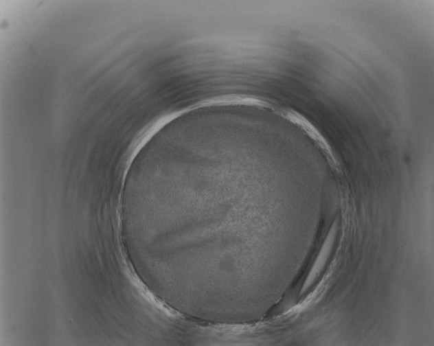 X0000066510860200603311728