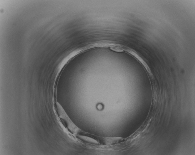 X0000066510861200603311728