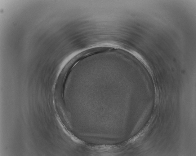 X0000066510862200603311728