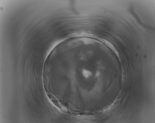 X0000066510863200603311728