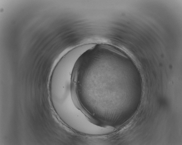 X0000066510864200603311728