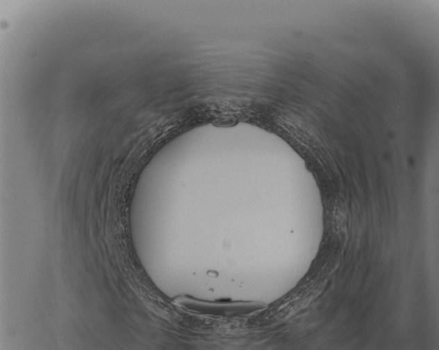 X0000066510865200603311727