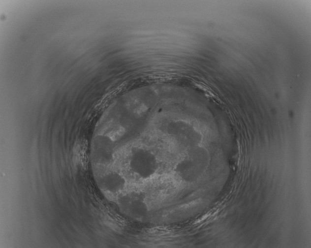 X0000066510867200603311727