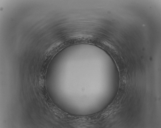 X0000066510869200603311727