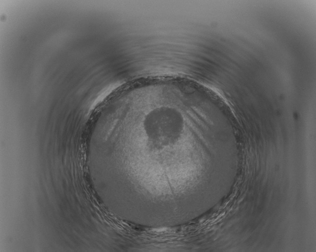 X0000066510871200603311727