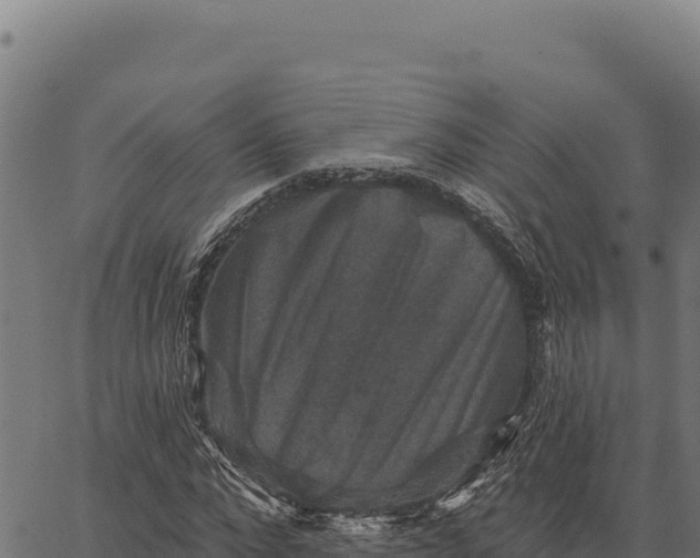 X0000066510872200603311727