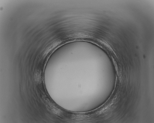 X0000066510873200603311727