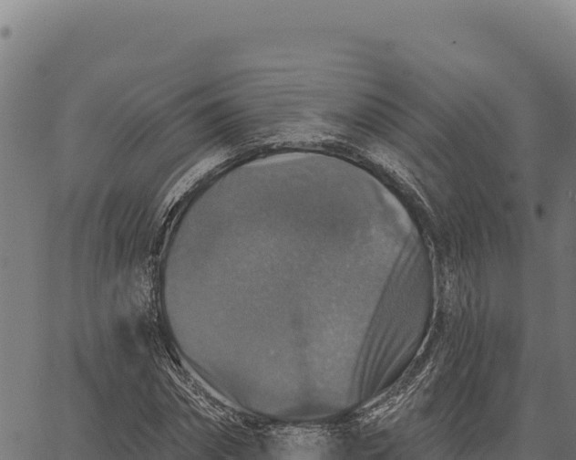 X0000066510874200603311727