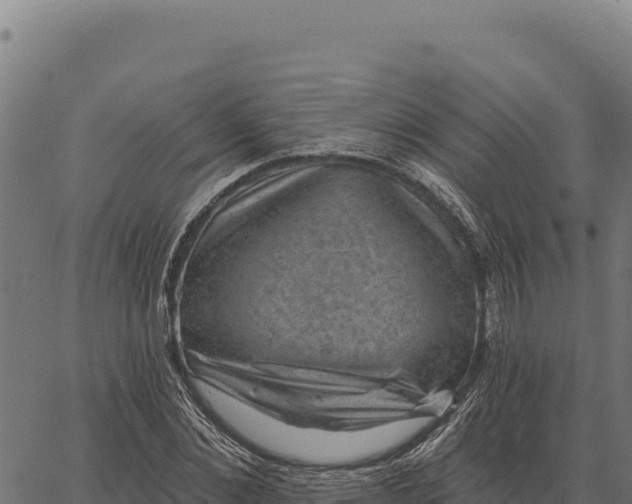 X0000066510876200603311727