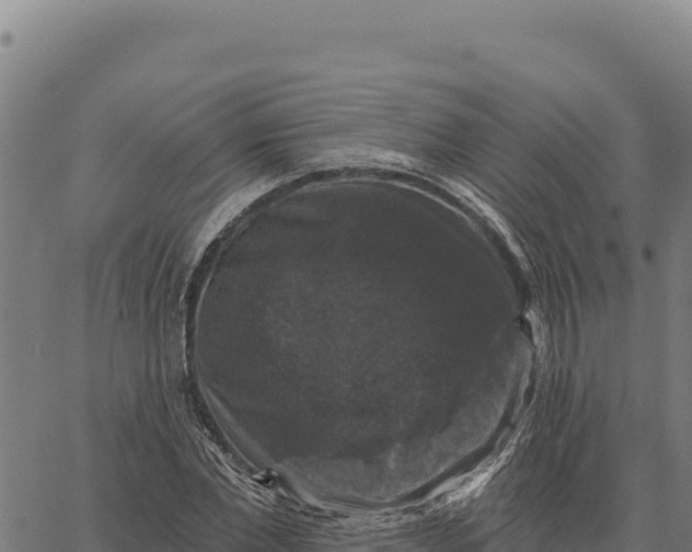 X0000066510877200603311727