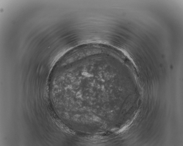 X0000066510879200603311727