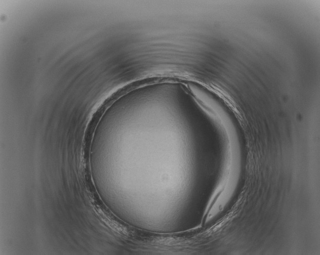 X0000066510880200603311727