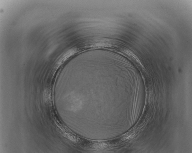 X0000066510882200603311727