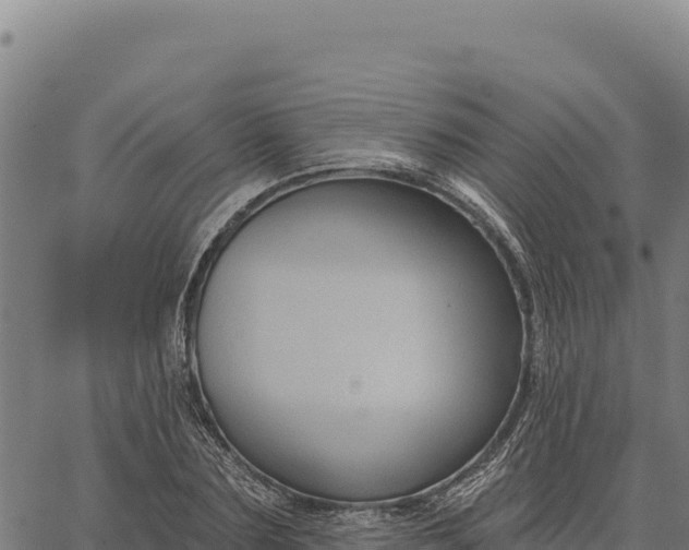 X0000066510883200603311727