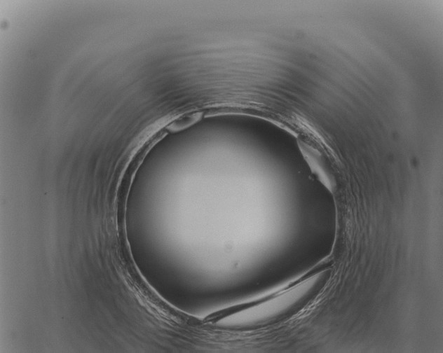 X0000066510884200603311727