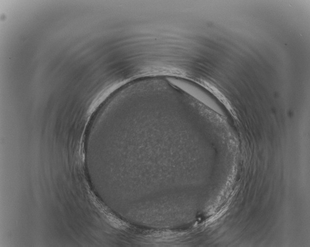 X0000066510885200603311727