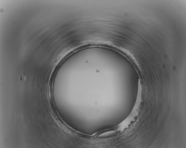 X0000066510887200603311727