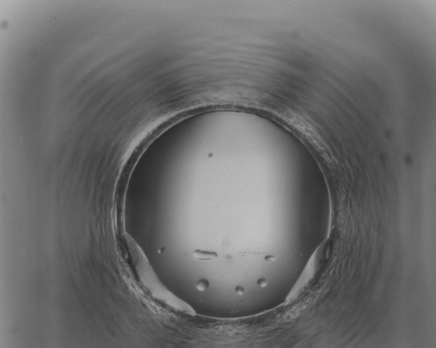 X0000066510888200603311727