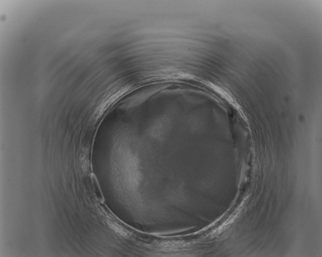 X0000066510889200603311727