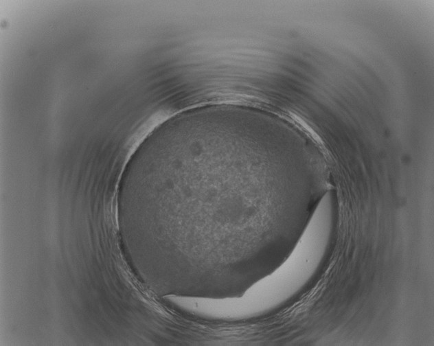 X0000066510891200603311726