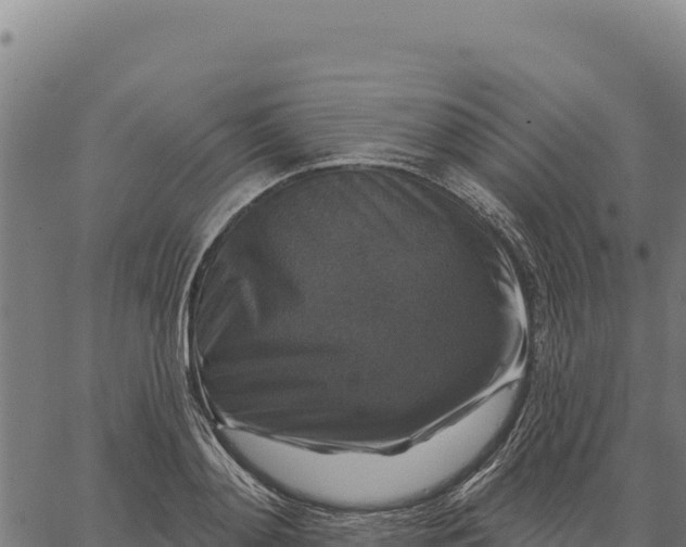 X0000066510892200603311726