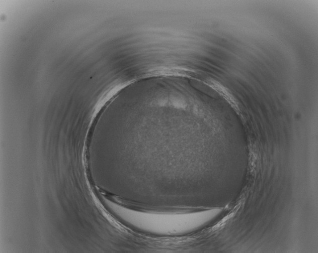 X0000066510893200603311726