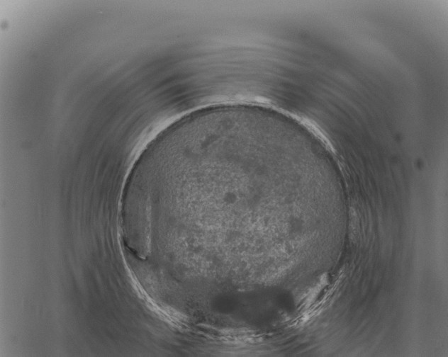 X0000066510895200603311726