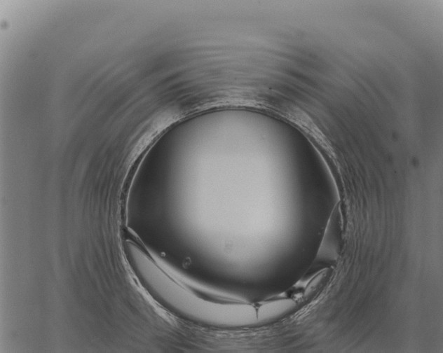 X0000066510898200603311726