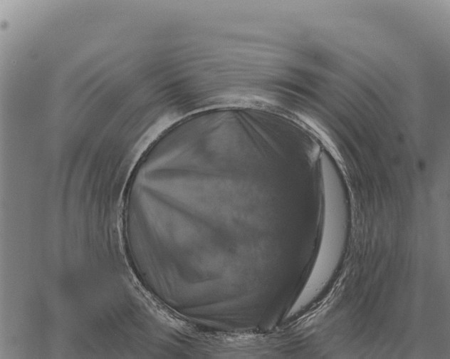 X0000066510899200603311726