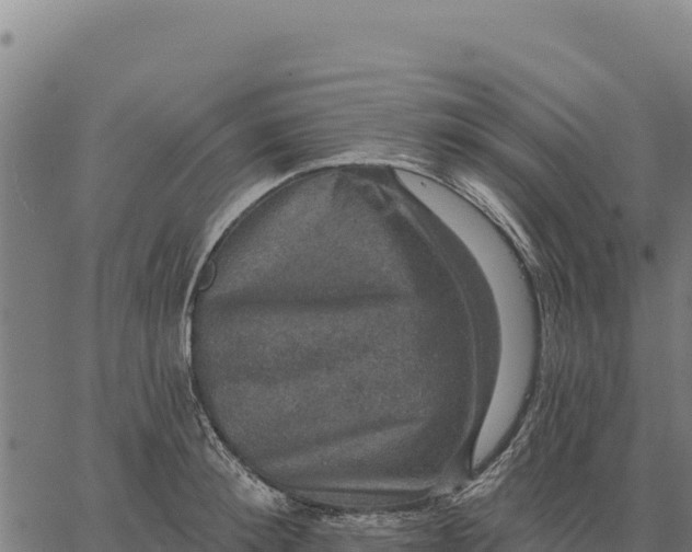 X0000066510900200603311726