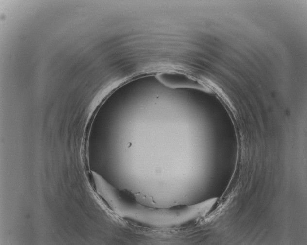 X0000066510901200603311726