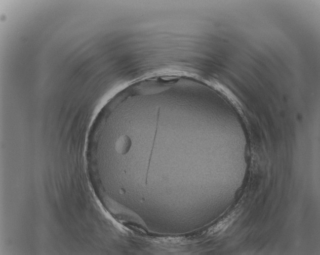 X0000066510902200603311726