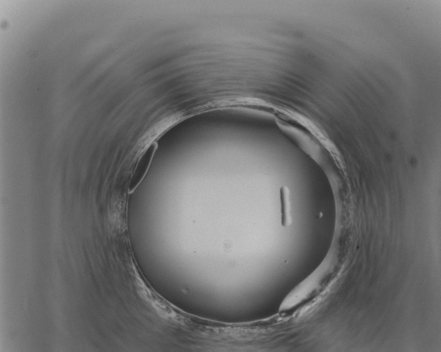 X0000066510905200603311726