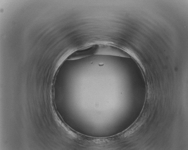 X0000066510906200603311726