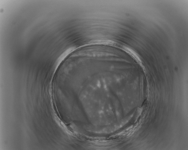 X0000066510907200603311726