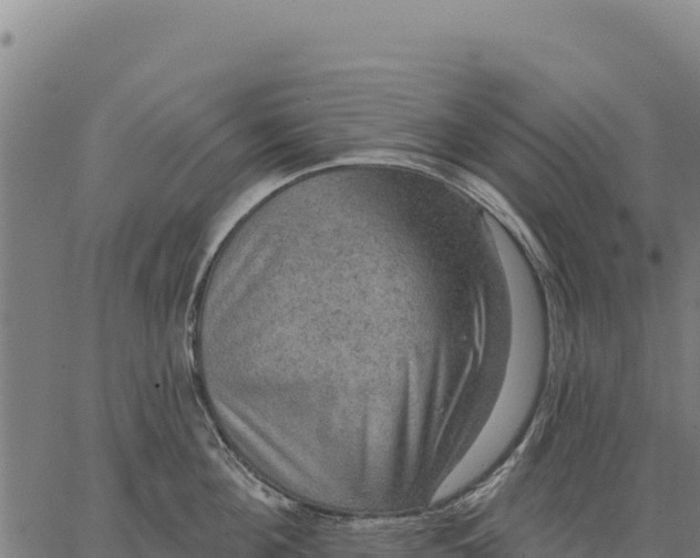 X0000066510908200603311726