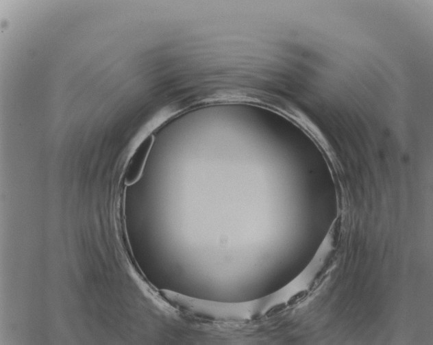 X0000066510909200603311726