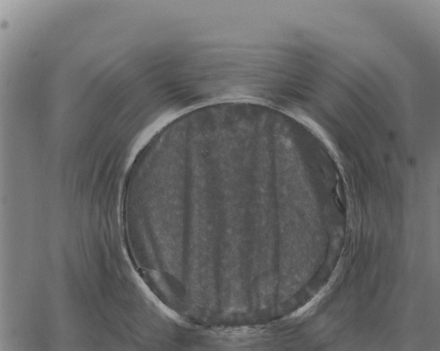 X0000066510910200603311726