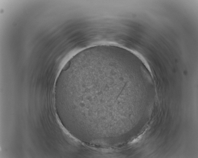 X0000066510911200603311726