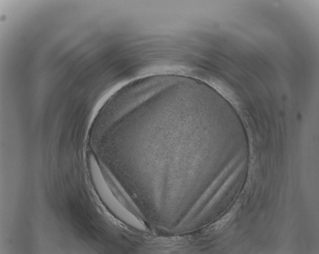 X0000066510912200603311726