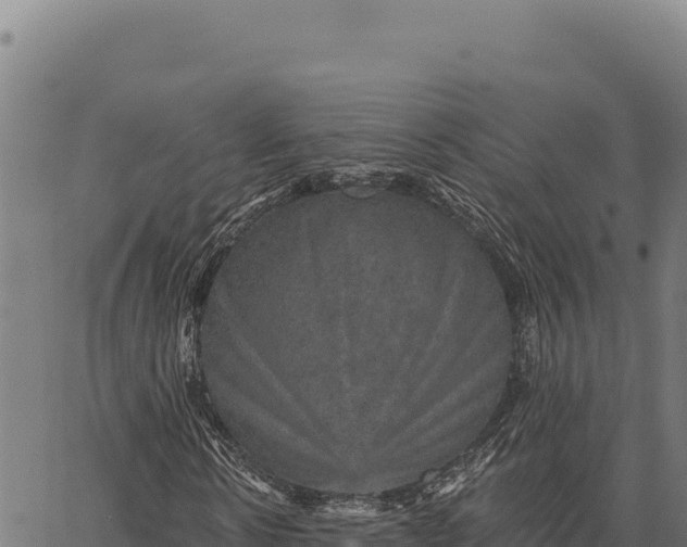 X0000066510914200603311725