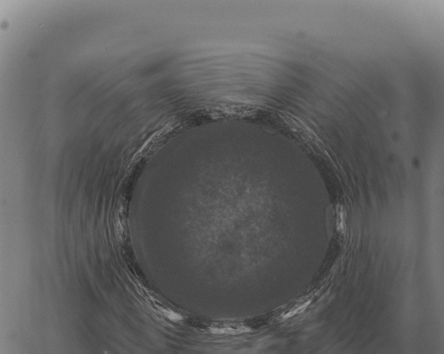 X0000066510915200603311725